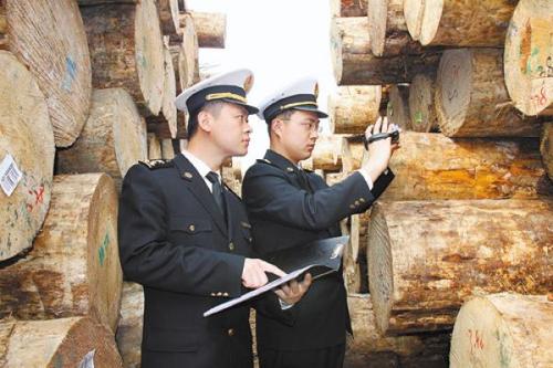 上海进口木材清关